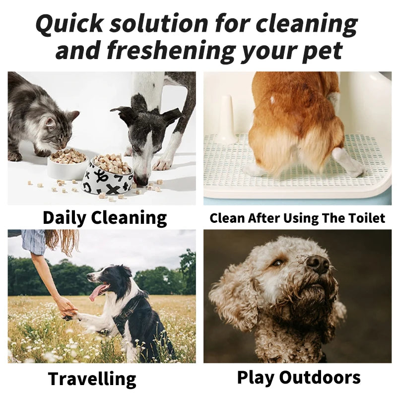Pet Wipes 1 pack (80PCS)