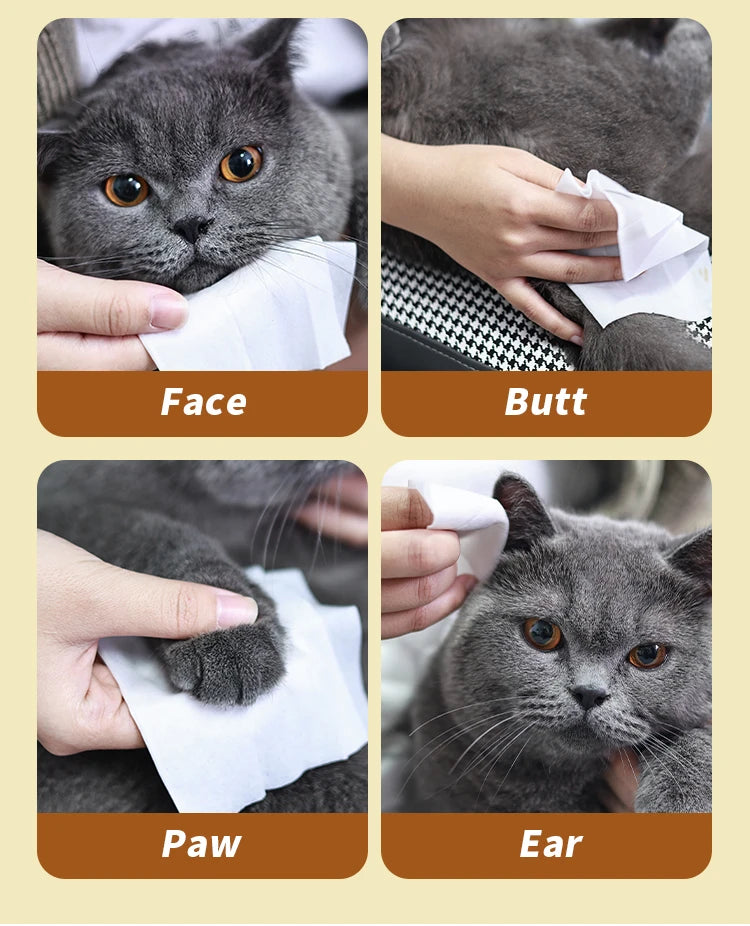 Pet Wipes 1 pack (80PCS)