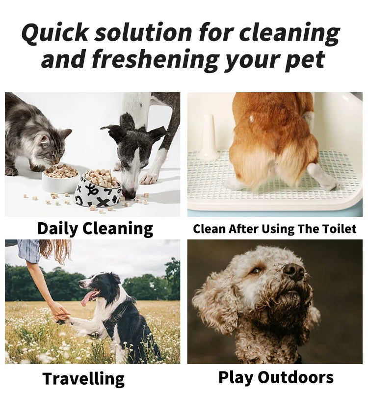 Pet Wipes 1 pack (80PCS)
